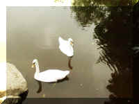 AA016.JPG (390913 bytes)