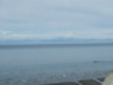 Click to see P1010076.JPG