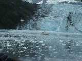 Click to see glacier028.jpg