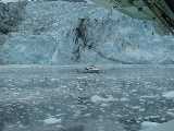 Click to see glacier029.jpg
