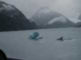 Click to see glacier052.jpg