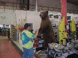 Click to see bear1.jpg